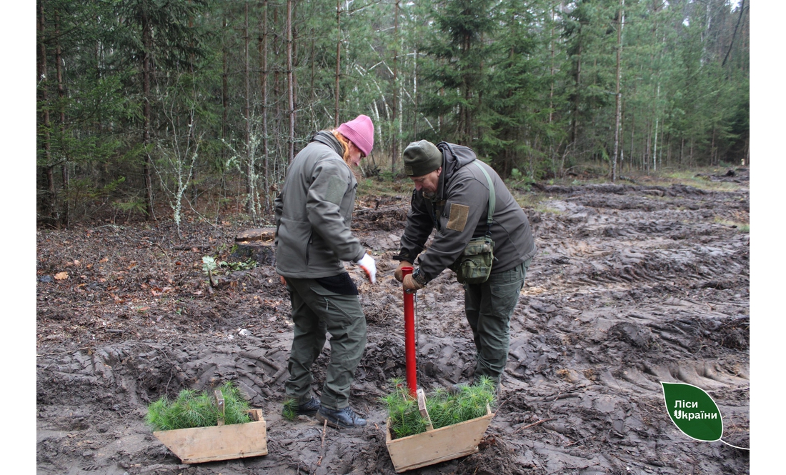 На честь загиблого воїна на Чернігівщині висадили ліс