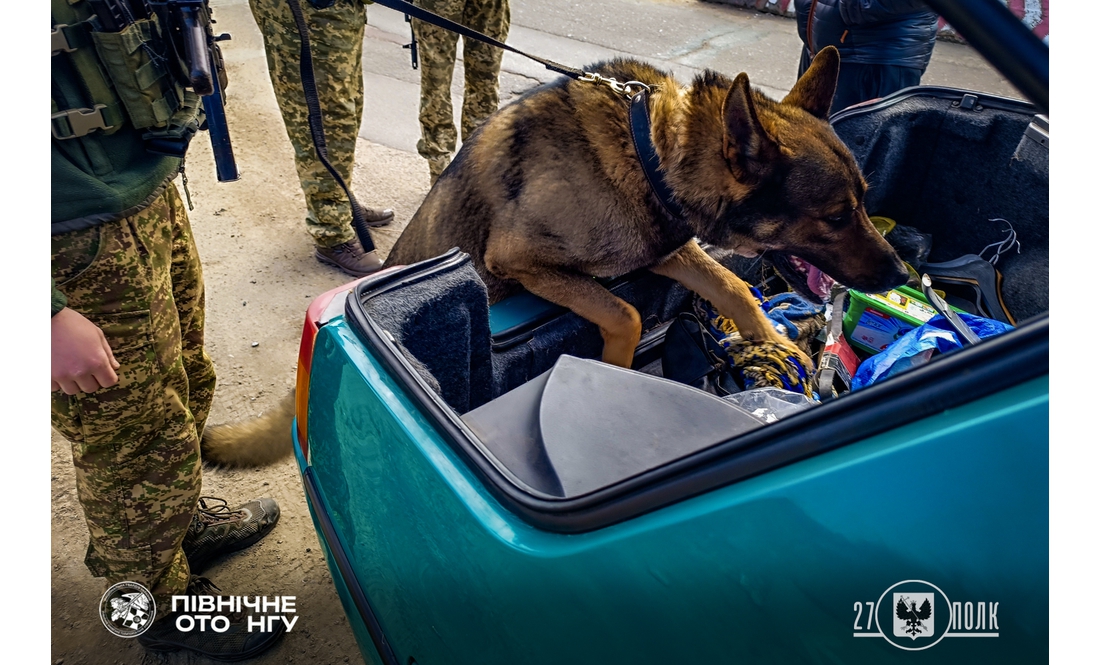 Гвардійці показали своїх чотирилапих напарників: як служать на Чернігівщині