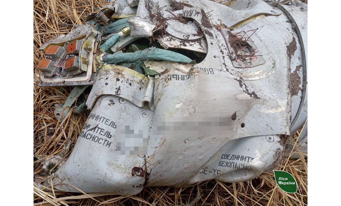 Дрон вдарив по лісу й офісу, село згоріло вщент: як живе найпівнічніше лісництво Чернігівщини