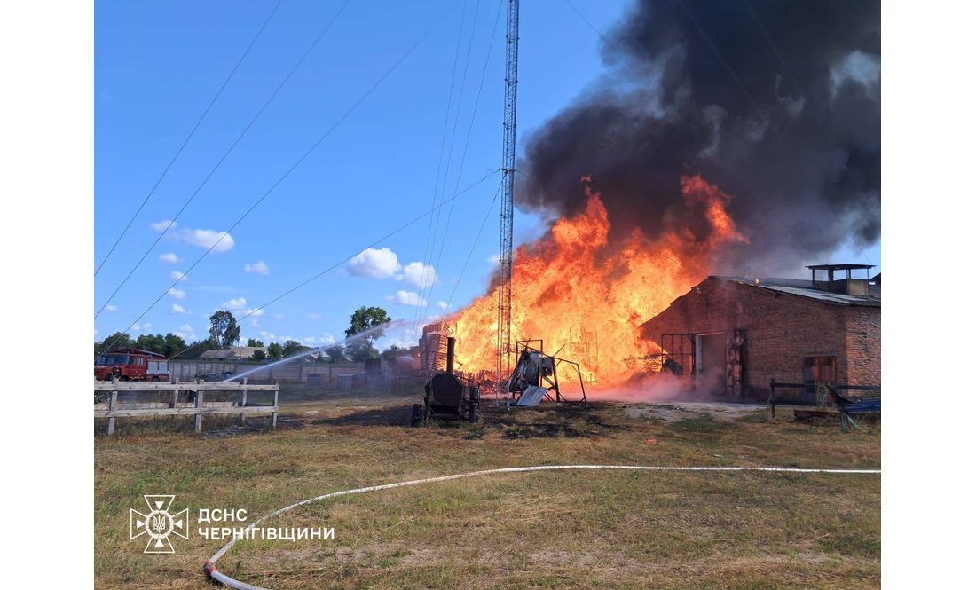 Російський безпілотник вдарив по сільгосппідприємству - загорівся склад