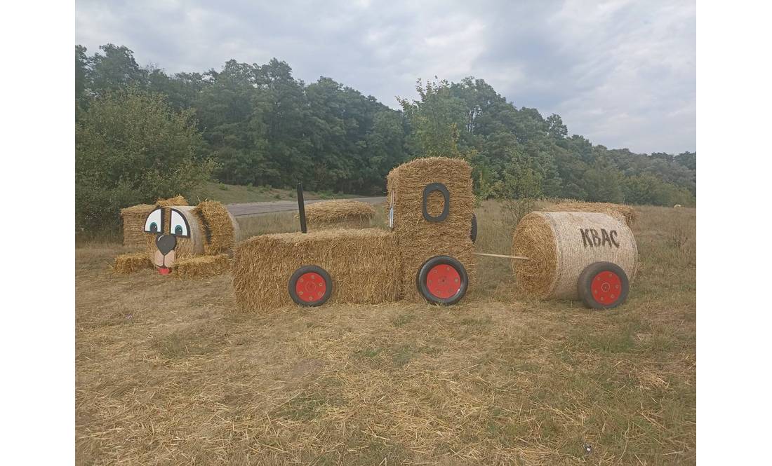 Вірусна фотозона у Манжосівці тішитиме відвідувачів до середини вересня