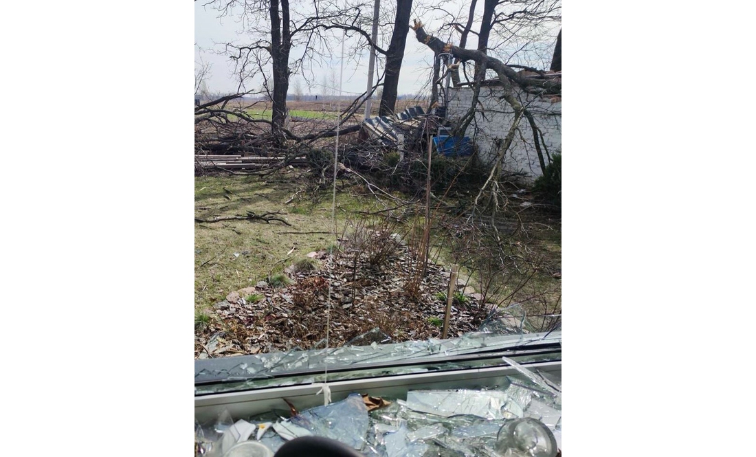Депутатка з Чернігова після обстрілів відновила будинок і сад