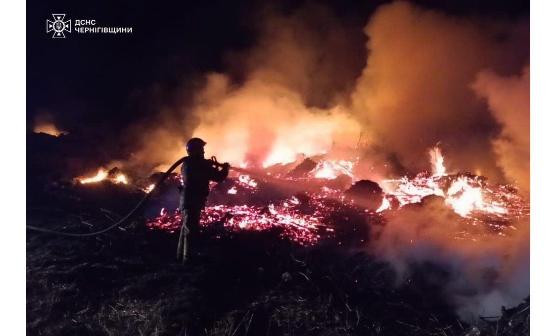 100 гектарів у вогні: на Чернігівщині знову палає суха трава