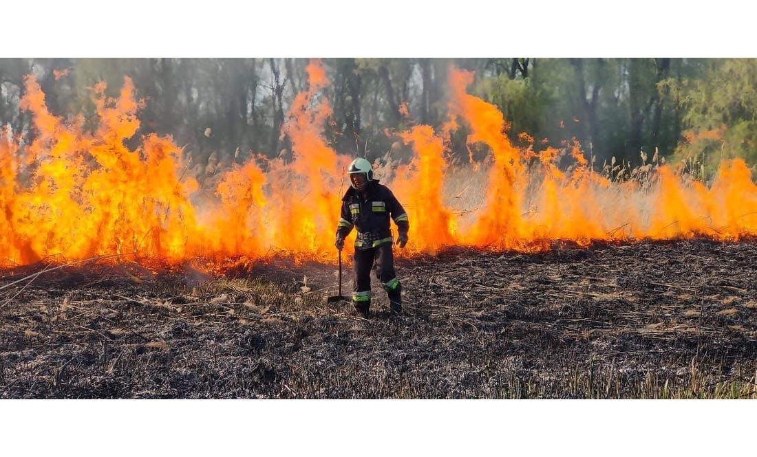 У громаді палії спричинили масштабну пожежу, яку гасили 10 вогнеборців