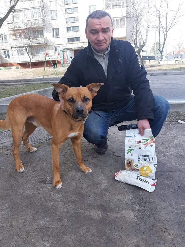 Як COLLAR Company допомагає тваринам та їх власникам у Чернігові