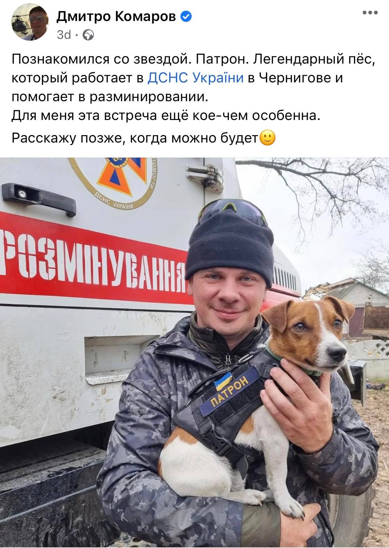 Пес-ДСНС та конкурент кота Степана: знайомтеся, Патрончик!