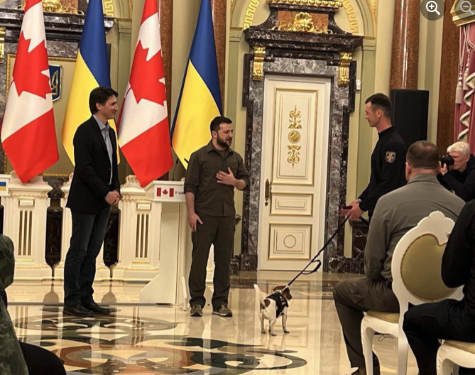 Пес-піротехнік Патрон отримав медаль від Зеленського