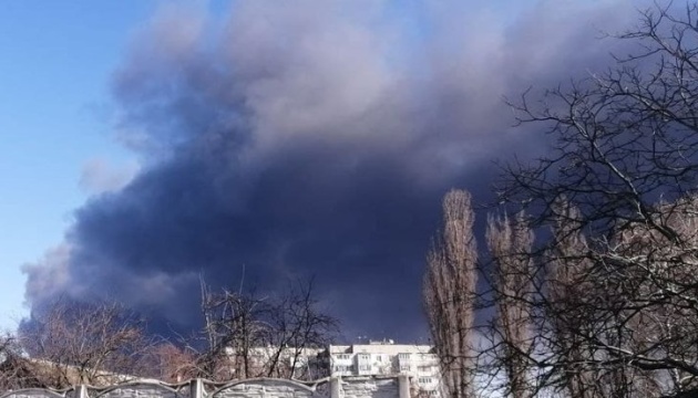 Екологи порахували збитки від пожежі на чернігівському 