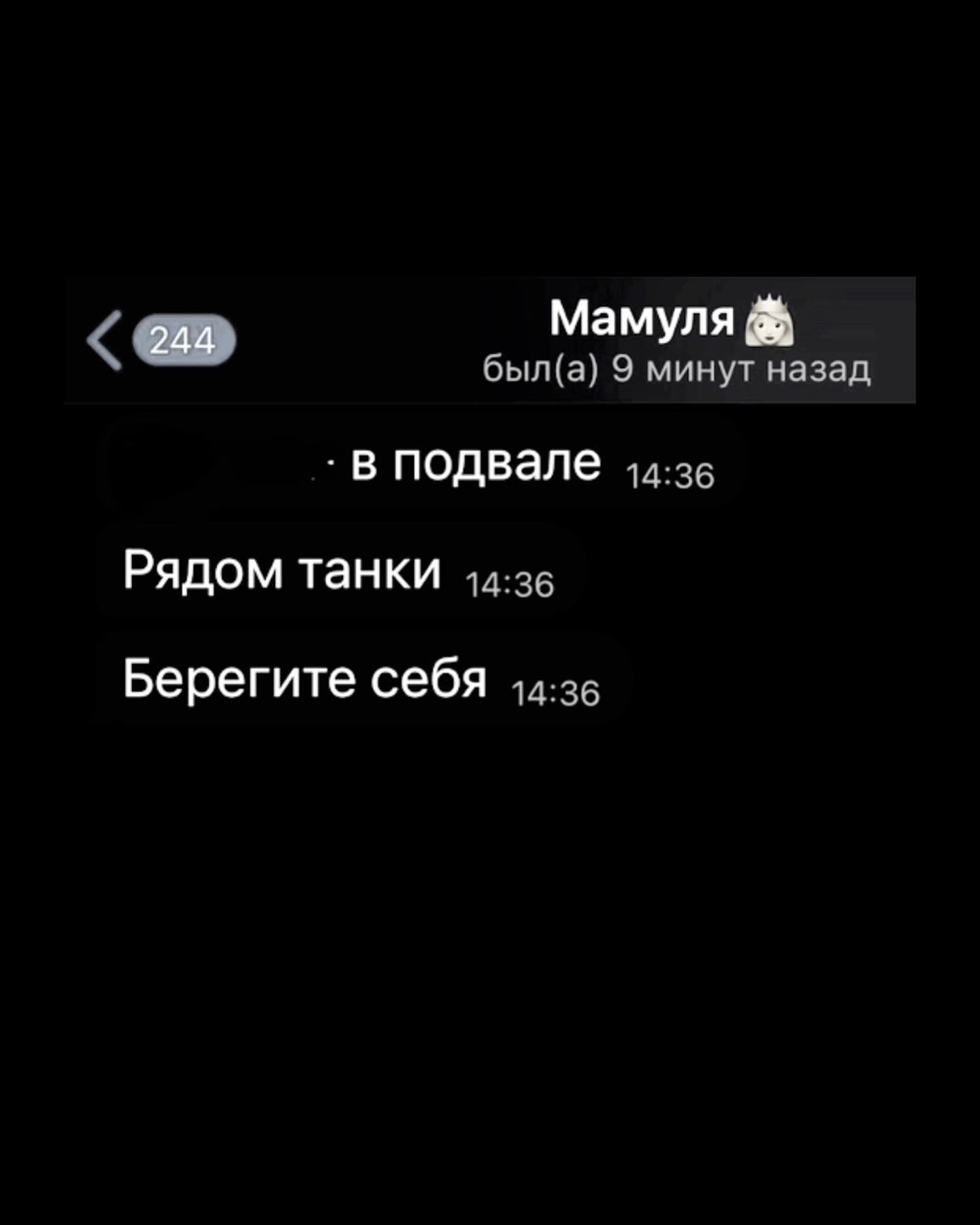 І віце-міс України чернігівка-волонтерка Вікторія Апанасенко: “Щодня мені росіяни надсилали погрози смерті - просто за те, що говорю правду про війну”