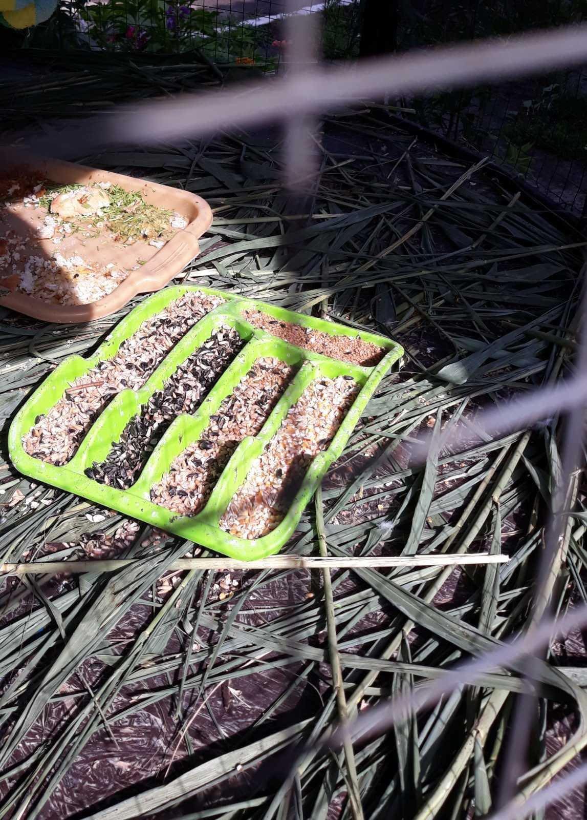 Менському зоопарку партнери з Польщі привезли кормів