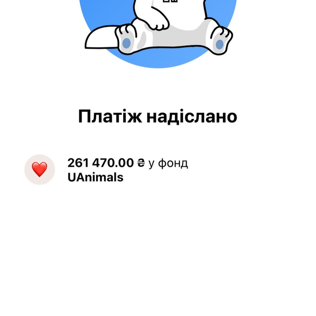 Скільки грошей назбирали для тварин-безхатьків на дні народженні Патрона?