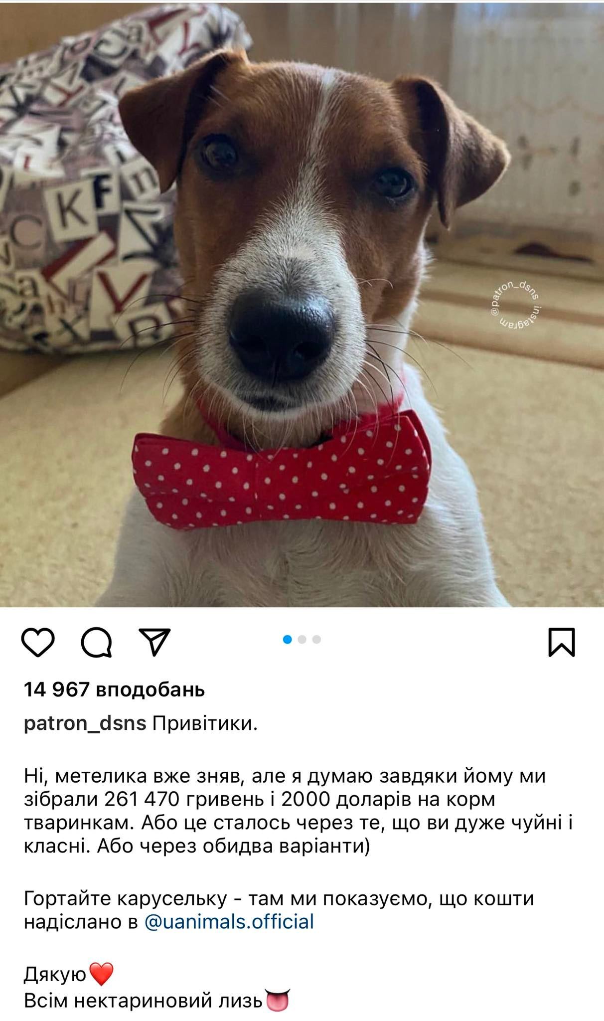 Скільки грошей назбирали для тварин-безхатьків на дні народженні Патрона?