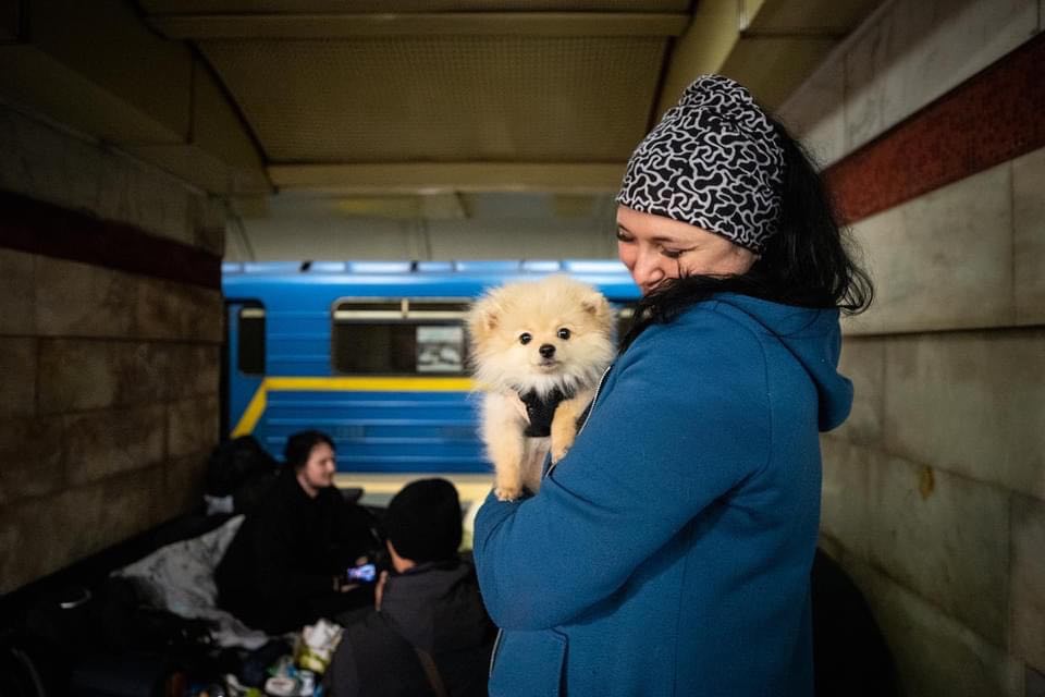 Чернігівка стала символом столичного метро під час війни