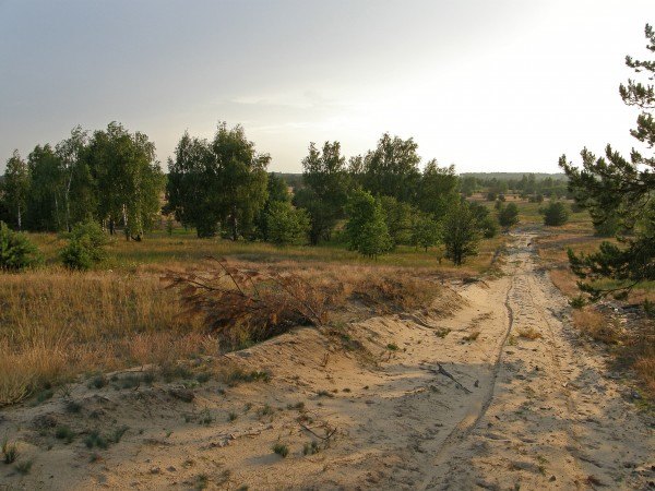 У парку «Міжрічинський» новий директор. Вже з профільною освітою