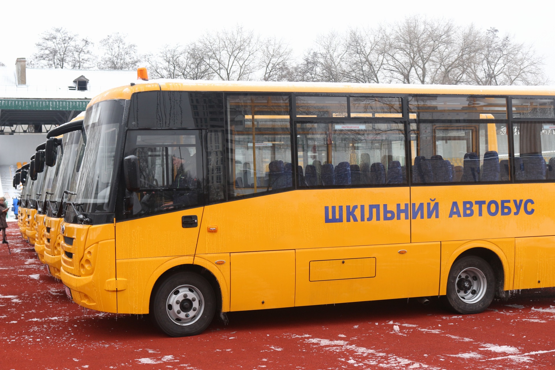 Турбота про дітей: школам Чернігівщини придбали 9 нових автобусів