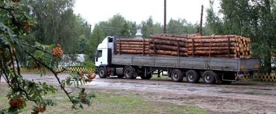 Чернігівські лісівники надали захисникам деревини на 20 млн грн