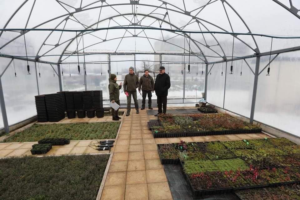 На Чернігівщині відновлять популяцію зубрів?