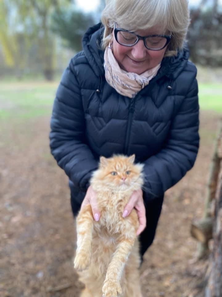 Шукали 9 місяців та знайшли через 70 км: у Киїнці відшукали загублену під час бомбардувань кицьку