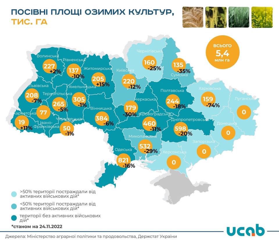 Посівна озимих-2023 у Чернігівщині: зменшилися площі під пшеницю, ріпак ще тримається