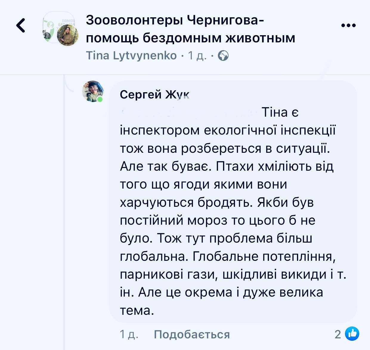 Мертві птахи на вулицях Чернігова: що сталося і чи є можливість цьому запобігти? Коментар екологів