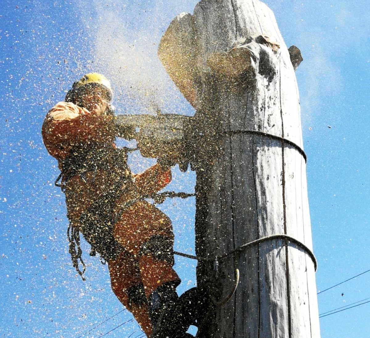 Хто такі арбористи? Двоє чоловіків із Мени мають незвичайний бізнес