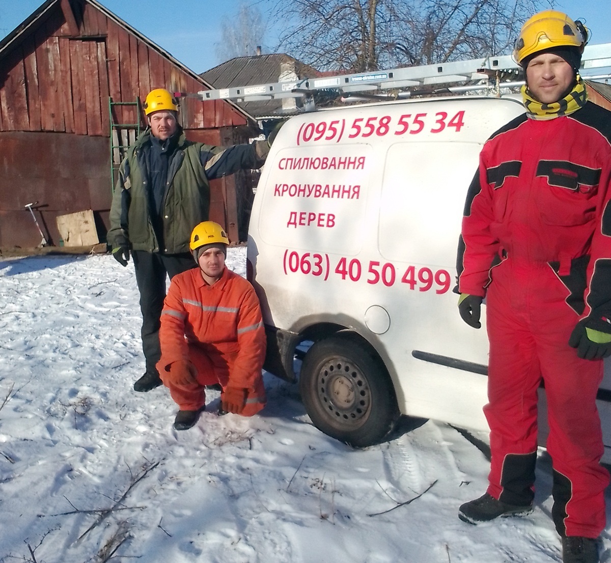 Хто такі арбористи? Двоє чоловіків із Мени мають незвичайний бізнес