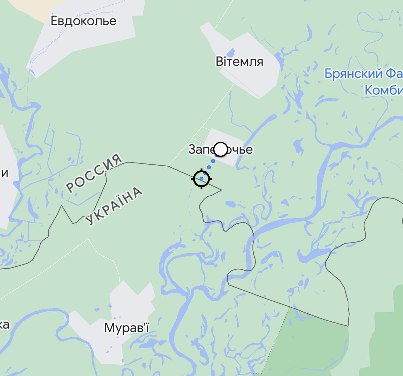 У росії біля кордону із Чернігівщиною підірвалися на міні двоє військових