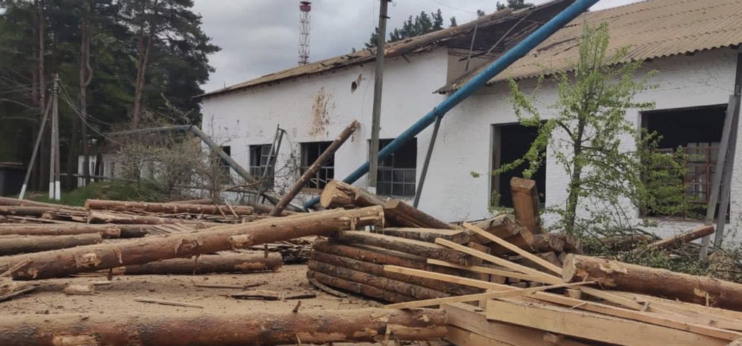 Країна-терорист тепер воює і з лісгоспами: бомбовий удар по Чернігівщині