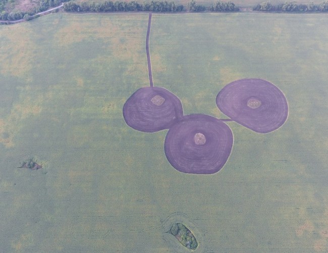 На Чернігівщині з-під плуга врятували кургани