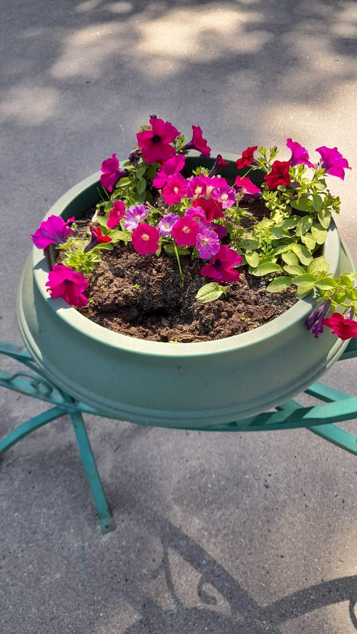 Новини громад: у прикордонній Городні займаються облаштуванням зон відпочинку та поєднують бібліотеку з батутом