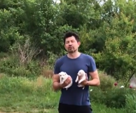 Кіт Кузя - не єдина жертва прилуцького живодера. Є й інші