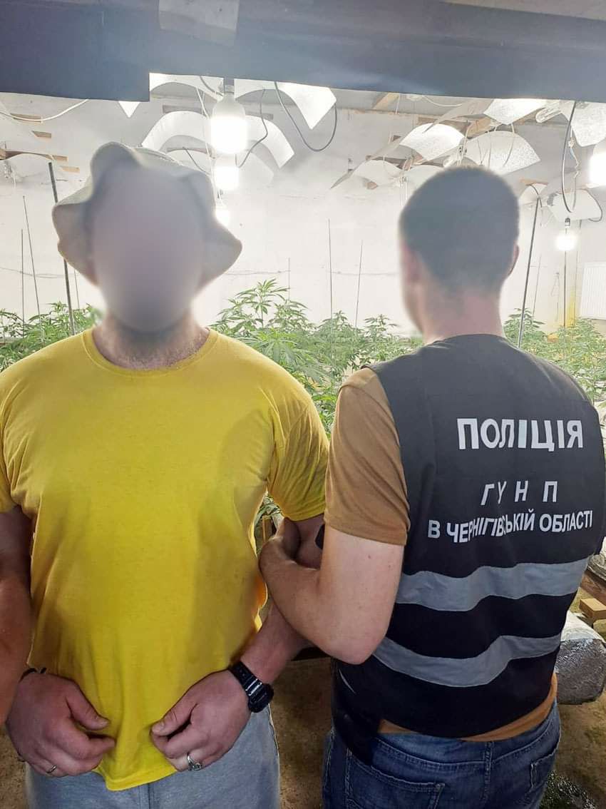 У Чернігові виявили незаконну плантацію конопель і нарколабораторію