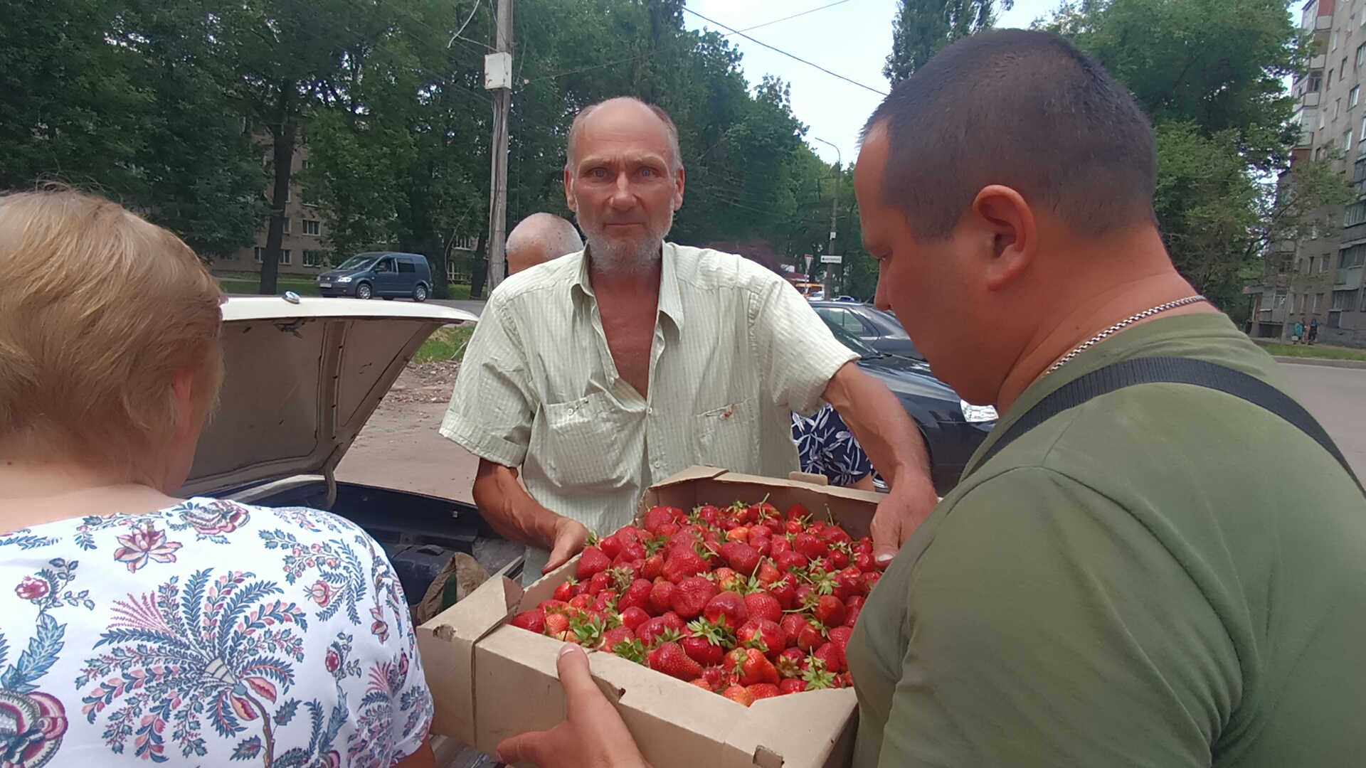 Городник із Ніжина збирає 500 кілограм полуниці з однієї сотки