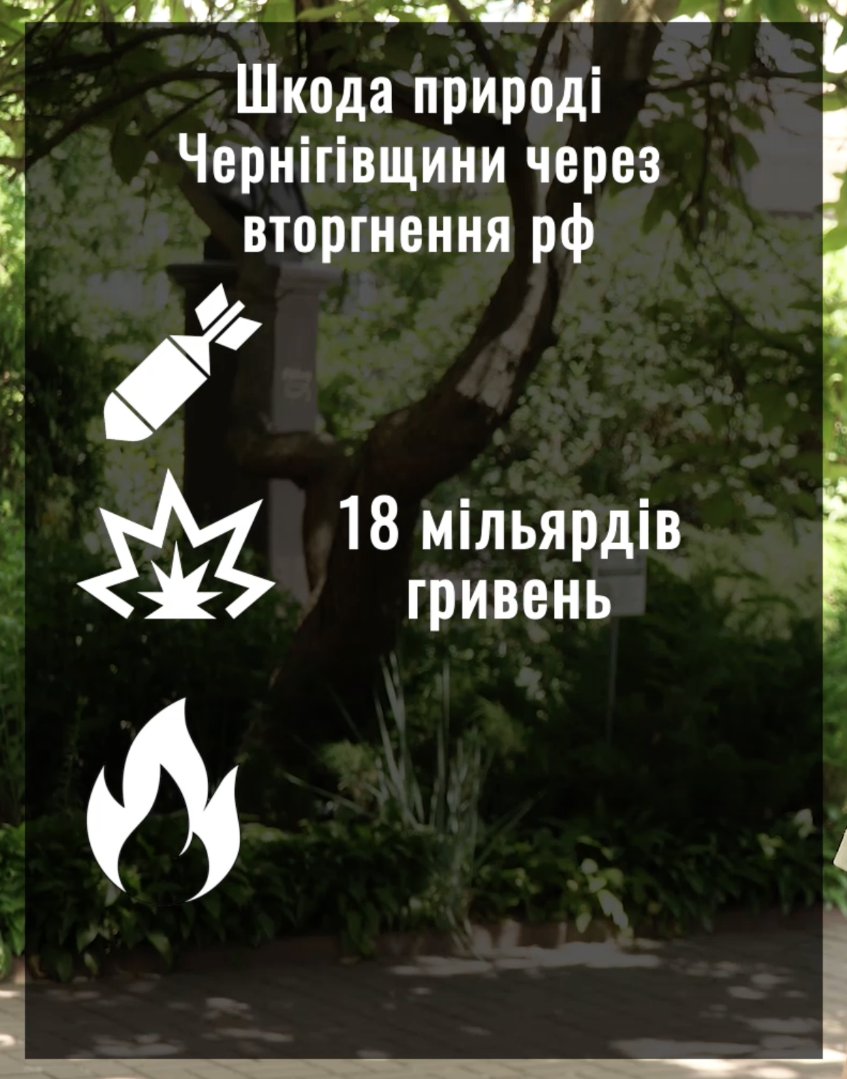 Еколог розповів чим загрожує природі Чернігівщини російське вторгнення