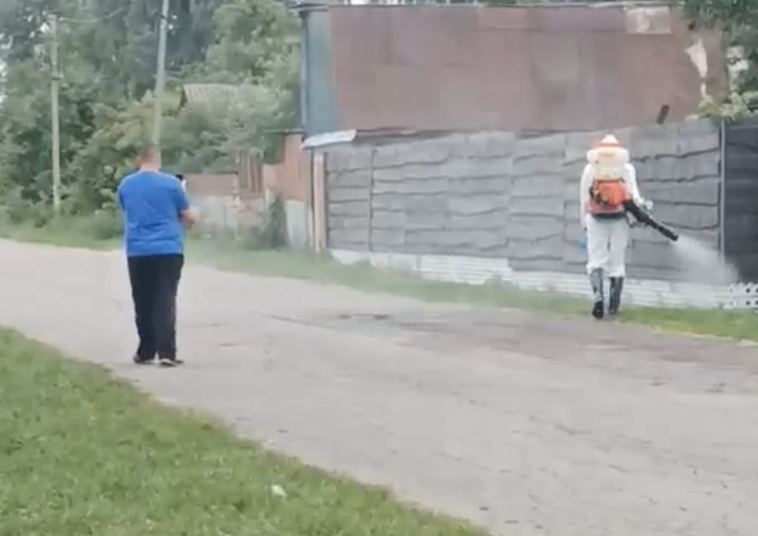 Велике горе і великі збитки: через спалах африканської чуми родина з села на Чернігівщині втратила два десятки свиней
