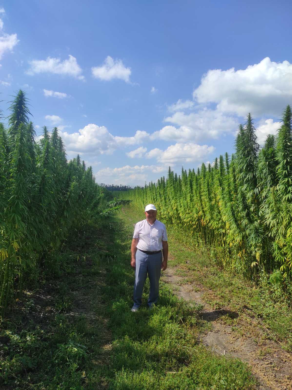 Представники Чернігівщини взяли участь у коноплярському фестивалі