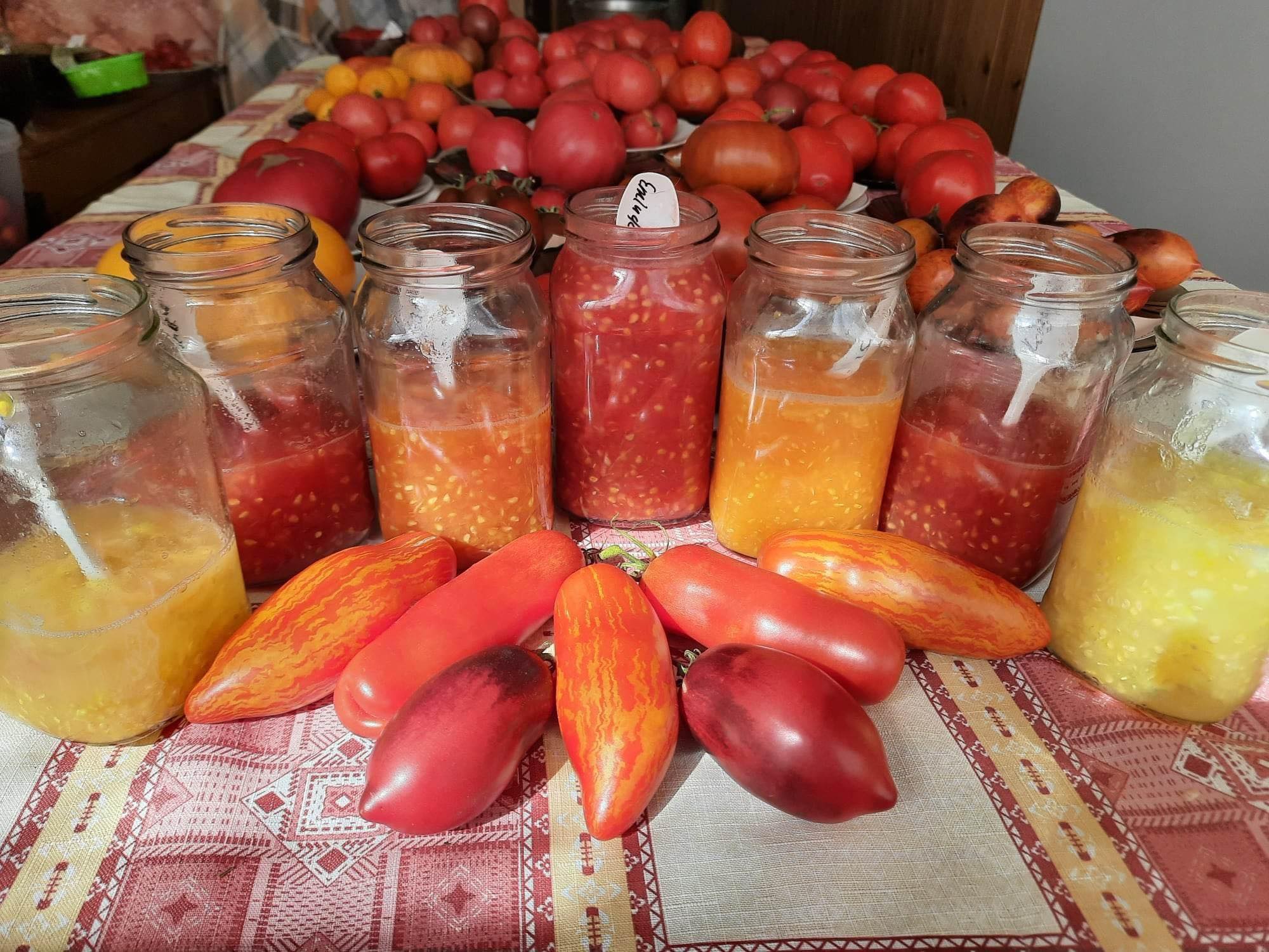 Майже 300 сортів томатів вирощує жінка з Чернігівщини