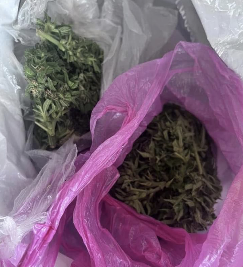 Службовий пес знайшов траву у 35-річного громадянина на виїзді з Чернігова