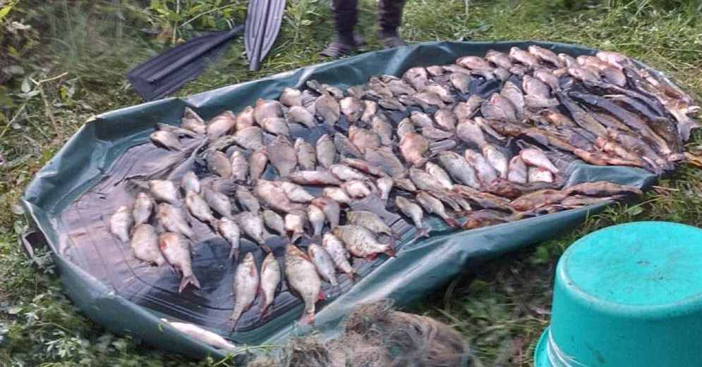 Риба, яку виловили у незаконний спосіб, Чернігівщина