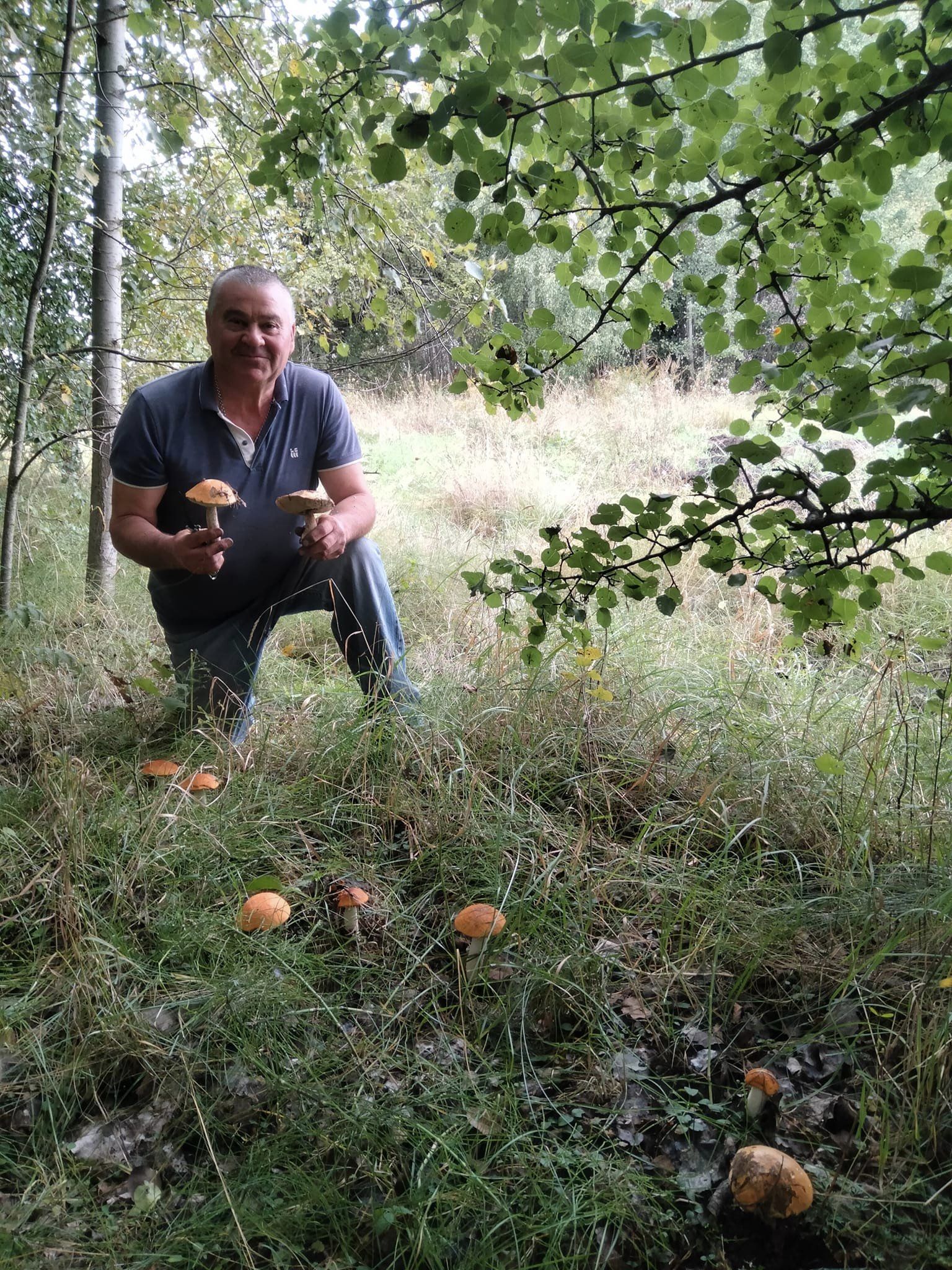 Микола Баргамін назбирав у лісі кошик бабок та пів кошика підосиковиків