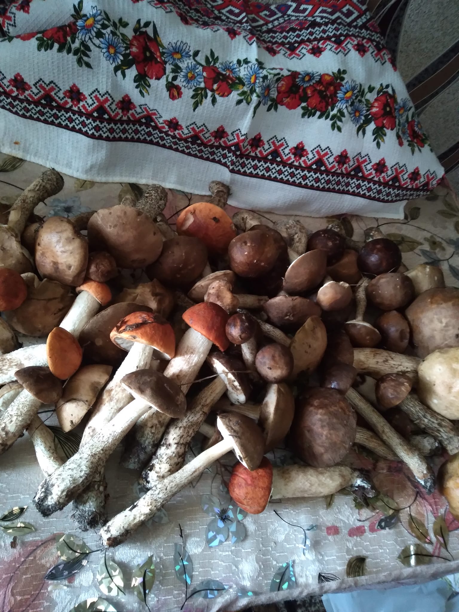 Лариса Нагорна назбирала під Ніжином грибів