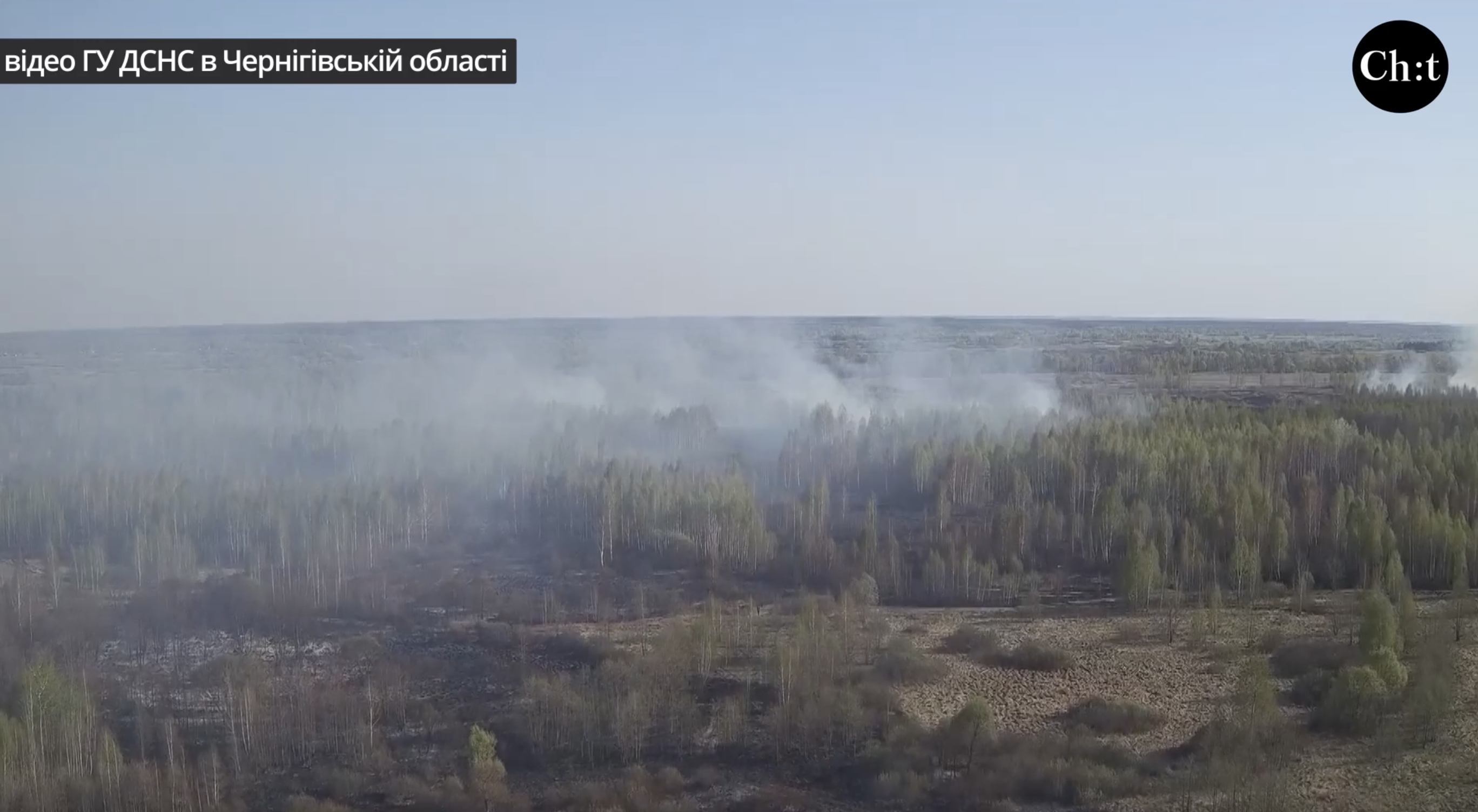 Пожежа у лісі на Чернігівщині