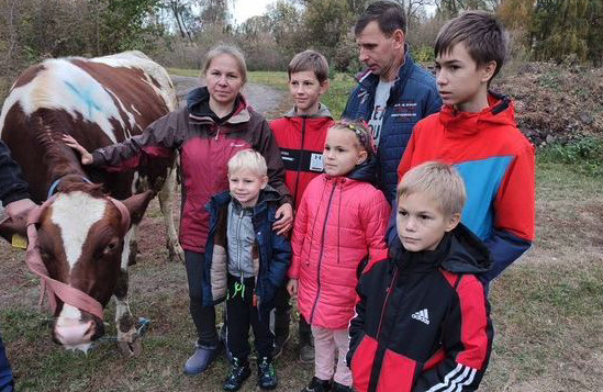 Родини із Чернігівщини отримали молодих корівок