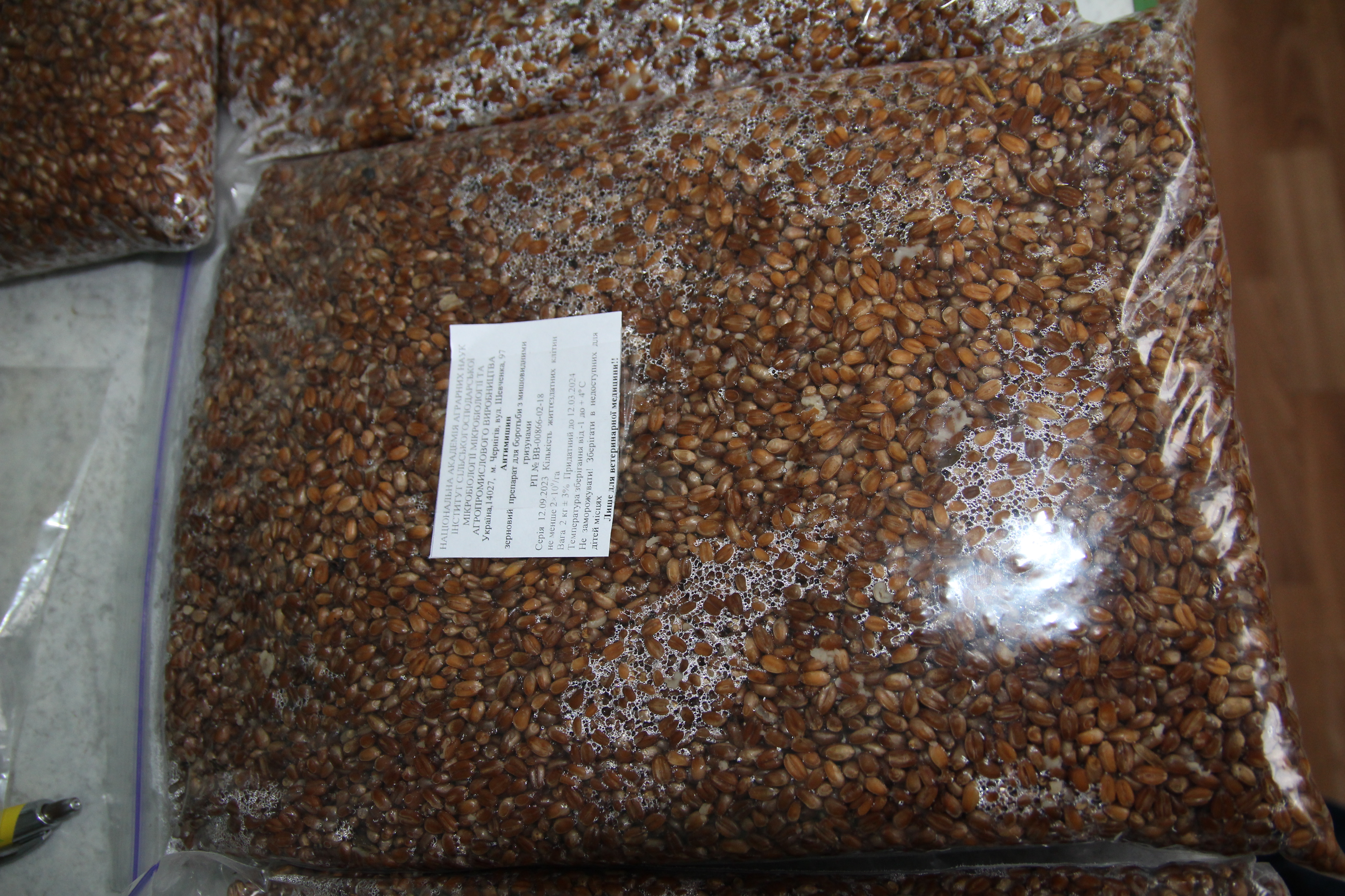 Препарат чернігівських мікробіологів може врятувати бліндажі