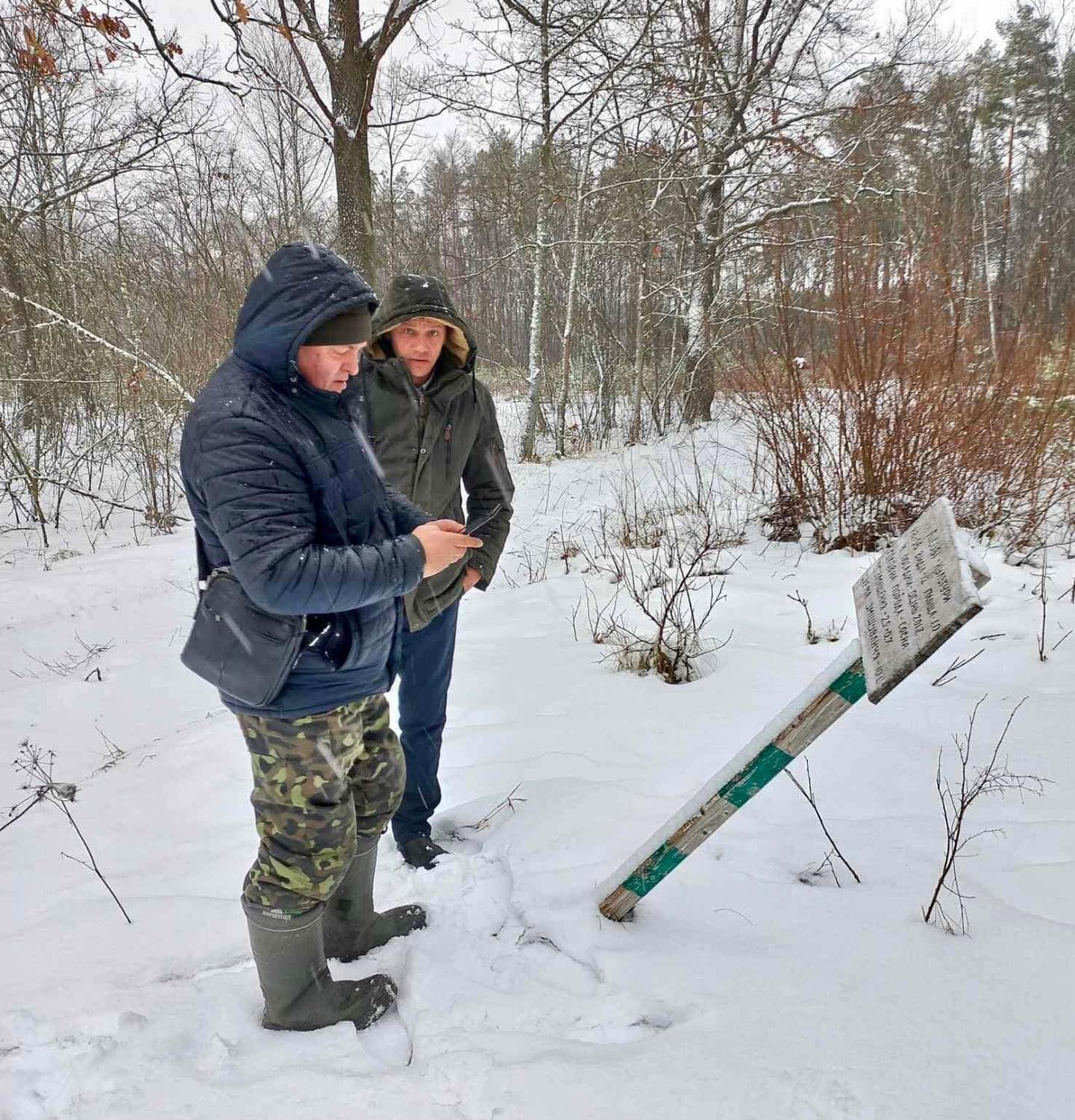 На Чернігівщині у місцевому агролісгоспі накрали 133 сосен