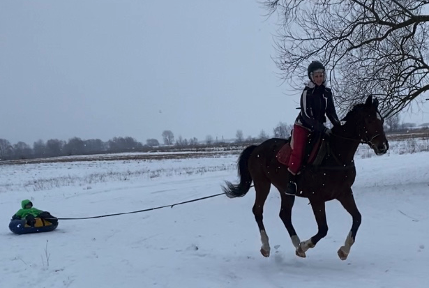 Зимові розваги у "Дім Хаски"