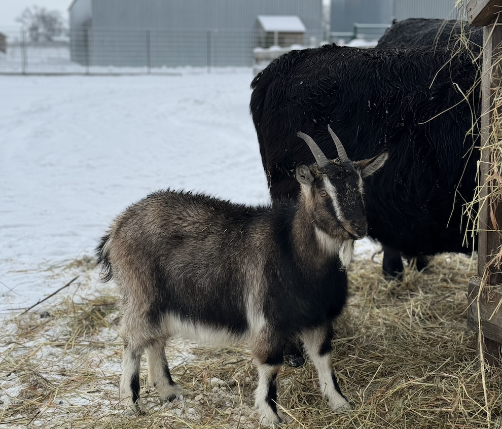 Парк природи «Беремицьке» - унікальне місце для відпочинку