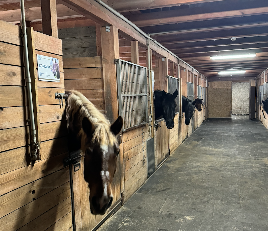 Парк природи «Беремицьке» - унікальне місце для відпочинку