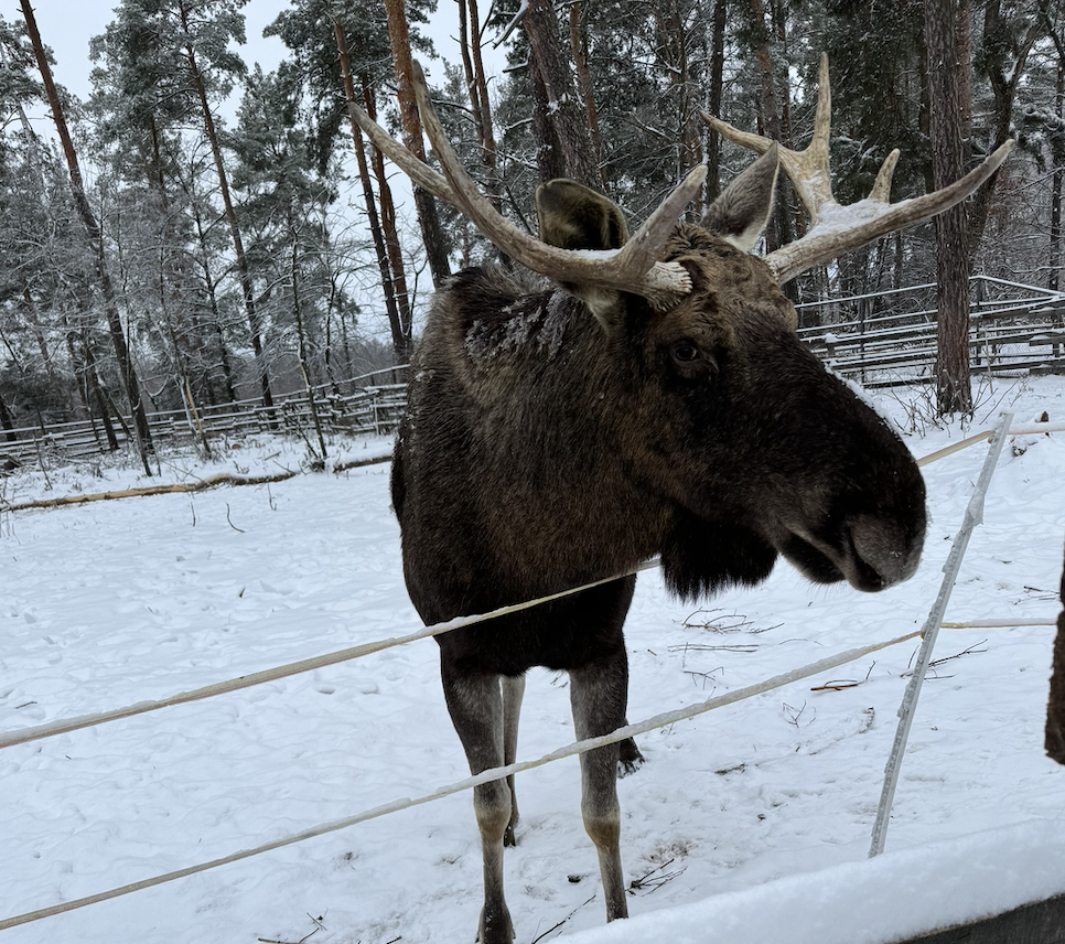 Парк природи «Беремицьке» - унікальне місце для відпочинку