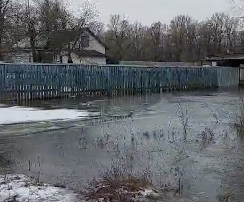 Ртуть, нікель, кадмій, хром: що небезпечне потрапляє у річки Чернігівщини під час паводку